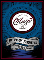 Пиво Rhythm Aquatic Пиво Rhythm Aquatic