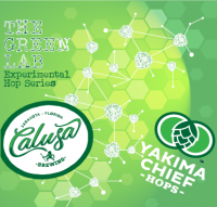 Пиво The Green Lab: B-Blend Пиво The Green Lab: B-Blend