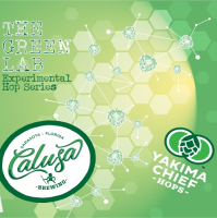 Пиво The Green Lab: M-Blend Пиво The Green Lab: M-Blend