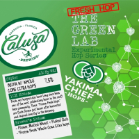 Пиво The Green Lab: (Wet) Whole Cone Citra Пиво The Green Lab: (Wet) Whole Cone Citra