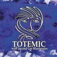 Пиво Totemic w/ Second Use Blueberries Пиво Totemic w/ Second Use Blueberries