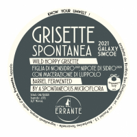 Пиво Grisette Spontanea 2021 - Galaxy Simcoe