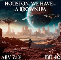 Пиво Houston, We Have A Brown IPA