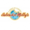 Пиво Salvador Molly's IPA Пиво Salvador Molly's IPA