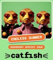 Пиво Endless Summer