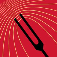 Пиво Acoustic Niche