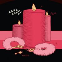 Пиво Barrel Aged Safe Word (2022) Пиво Barrel Aged Safe Word (2022)