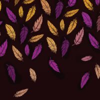 Пиво Bird of War - Passion Fruit & Raspberry Пиво Bird of War - Passion Fruit & Raspberry