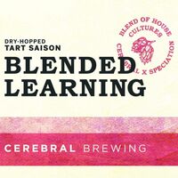 Пиво Blended Learning Пиво Blended Learning