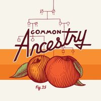 Пиво Common Ancestry Пиво Common Ancestry