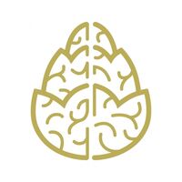 Пиво Counter-Illumination