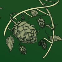 Пиво DDH Double Rare Trait