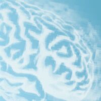 Пиво Double Brain Fog Пиво Double Brain Fog