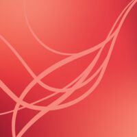 Пиво Elegant Solution Пиво Elegant Solution