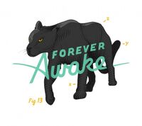 Пиво Forever Awake Пиво Forever Awake