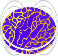 Пиво Invisible Hand