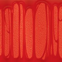 Пиво Mango Sticky Stuff