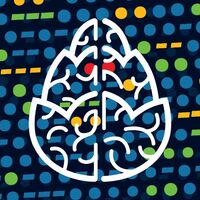 Пиво Network Anomaly