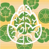 Пиво Paper Lantern With Lime