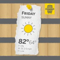 Пиво Prime Conditions