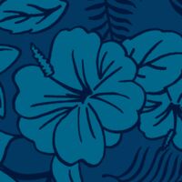 Пиво Remote Island