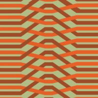 Пиво Transition State