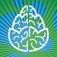 Пиво Visible Refraction