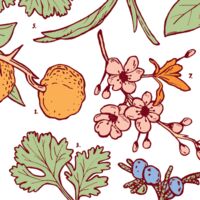 Пиво Vital Linguistics