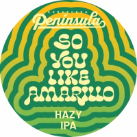 Пиво So You Like Amarillo