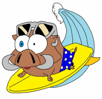 Пиво Summer Saison Пиво Summer Saison