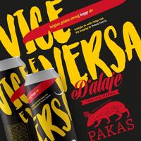 Пиво Vice Versa - Belgian Golden Strong Hoppy Ale Пиво Vice Versa - Belgian Golden Strong Hoppy Ale
