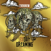 Пиво 3X DAY DREAMING