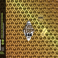 Пиво EVERTERPS 24K