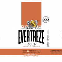 Пиво EVERTREZE SOUR