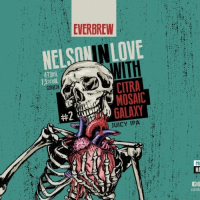 Пиво NELSON IN LOVE CITRA MOSAIC GALAXY