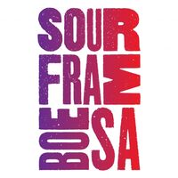 Пиво Sour Framboesa