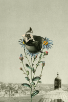 Пиво Grapevine Whisper