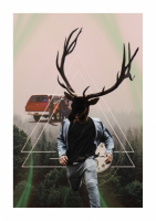 Пиво Mendocino Forest