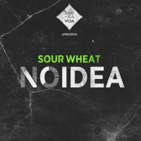 Пиво Sour No Idea Пиво Sour No Idea