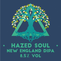 Пиво Hazed Soul