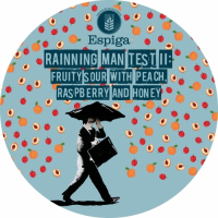 Пиво Raining Man Test II