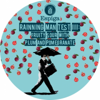 Пиво Raining Man Test III