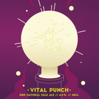 Пиво Vital Punch