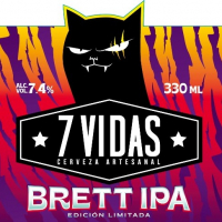Пиво BRETT IPA