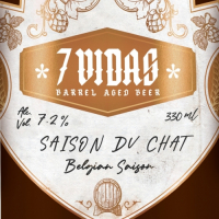 Пиво SAISON DU CHAT