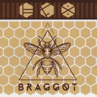 Пиво Braggot