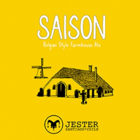 Пиво Saison