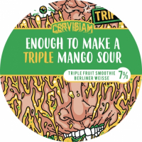 Пиво TRIPLE Enough To Make A Mango Sour Пиво TRIPLE Enough To Make A Mango Sour