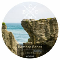 Пиво Bamboo Bones