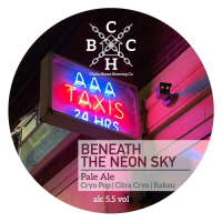 Пиво Beneath the Neon Sky